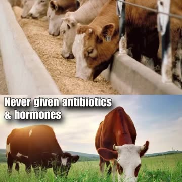 Know your labels- organic vs non-organic