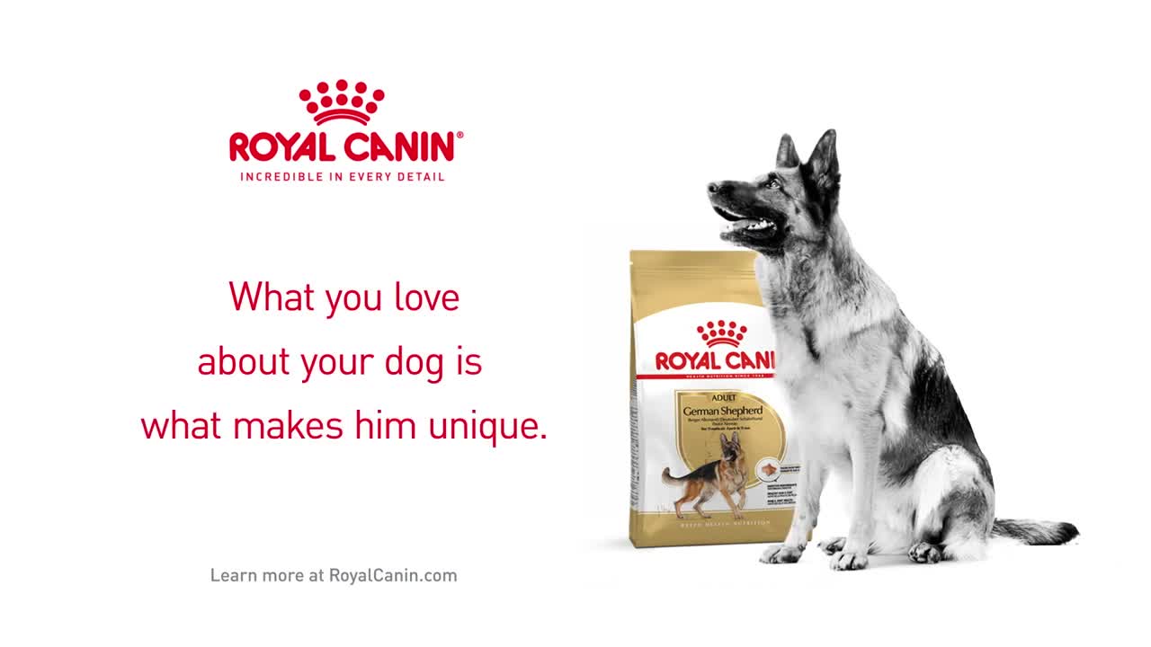 Royal Canin German Shepherd Adult | For Complete Care And Nourishment