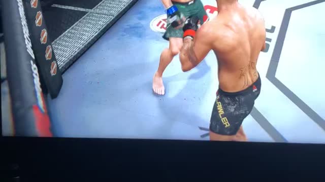 Insane Knockouts