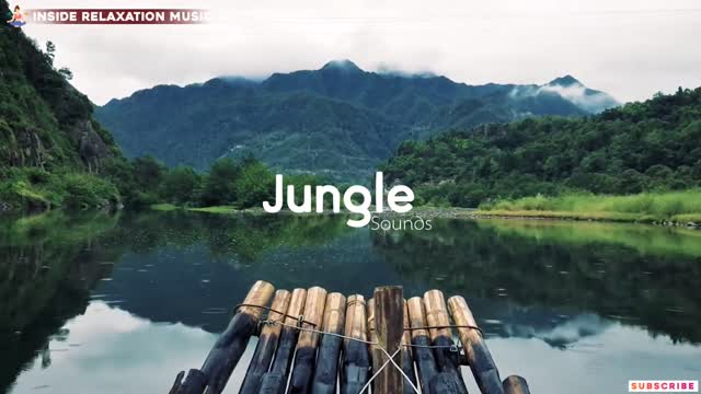 Relaxing Jungle Music With Birds Nature - Meditation Music