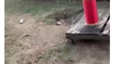 What a beautiful mind.