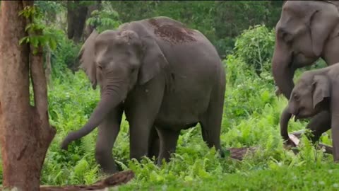 INDIA-A COUNTRY OF FESTIVALS & DIVERSITY