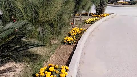 Beauty Green Mumtaz City Islamabad Pakistan