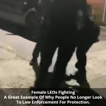 2 Female LEOs Fighting Like Street Bums