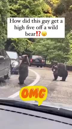 HOW did this guy get a high five out of a BEAR?????