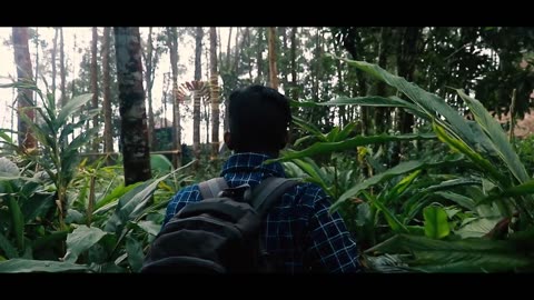 The Travel Video