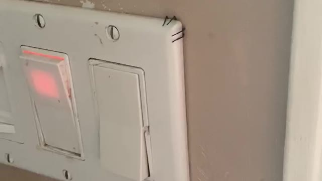 Spider's Legs Poke Out From Behind Light Switch