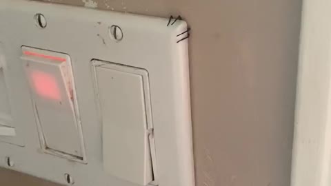 Spider's Legs Poke Out From Behind Light Switch