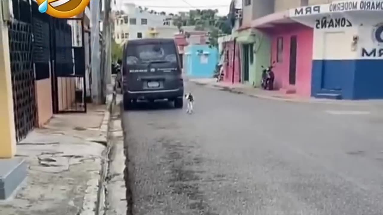 Funny moments
