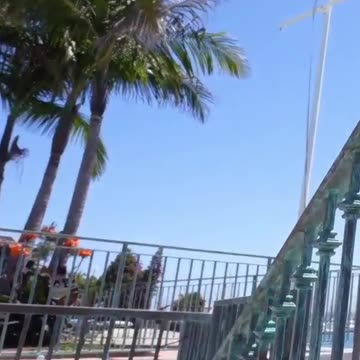 do you see the boats