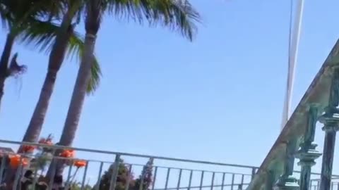 do you see the boats