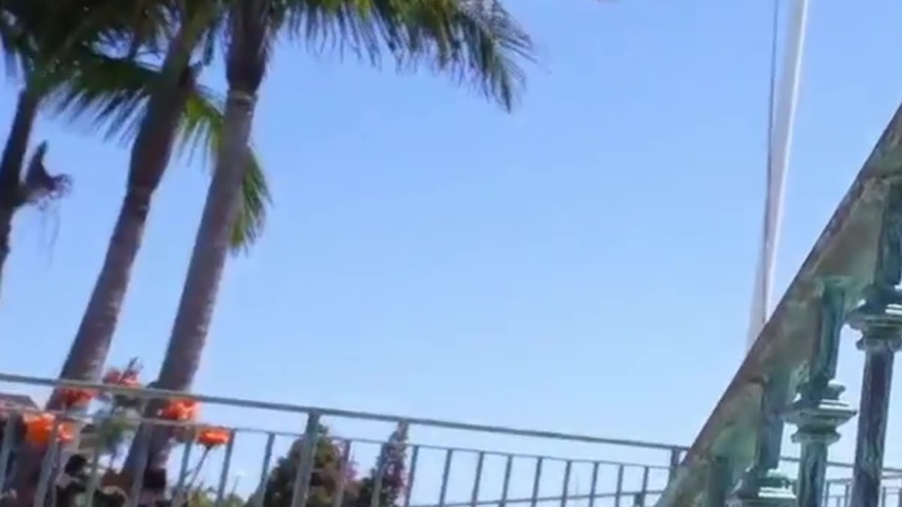 do you see the boats