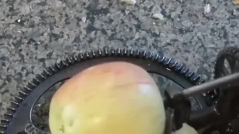 Apple pealer