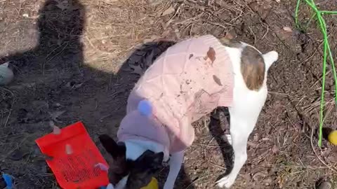 Princess messes up sweater