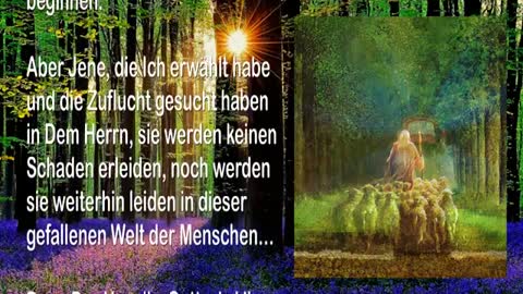 Ich haue jeden Baum um, der gegen Meinen Willen wächst 🎺 Die Trompete Gottes