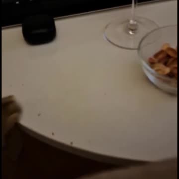 Pistachio shell thief