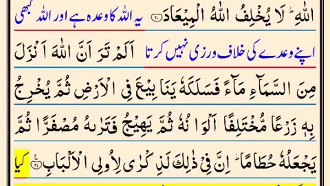 Quran recitation