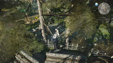 The Witcher 3 The Nithing