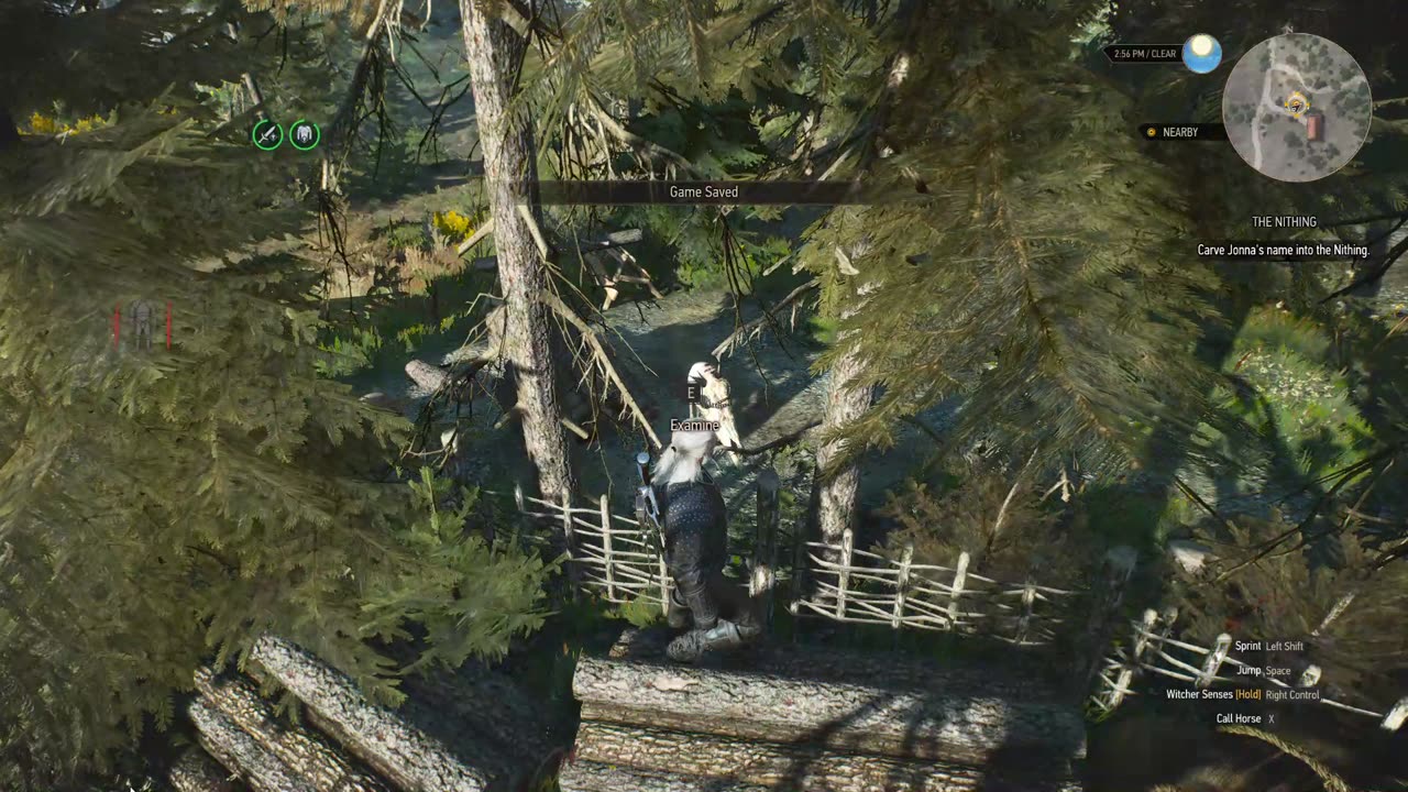 The Witcher 3 The Nithing