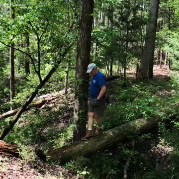 Montage Video over the past year