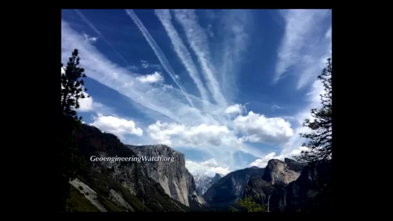 Jeff & Dane Wigington - GeoEngineering And Chemtrails Killing Millions Of Trees