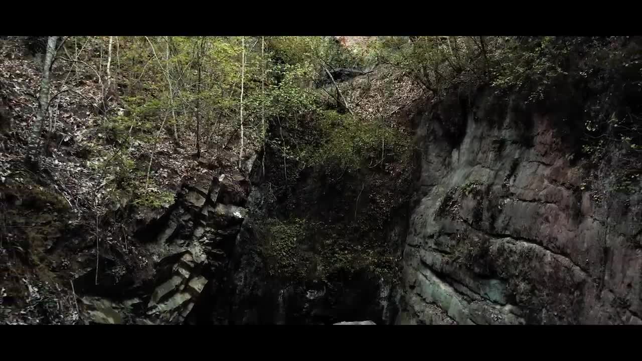 The Forest _ Cinematic Drone Footage