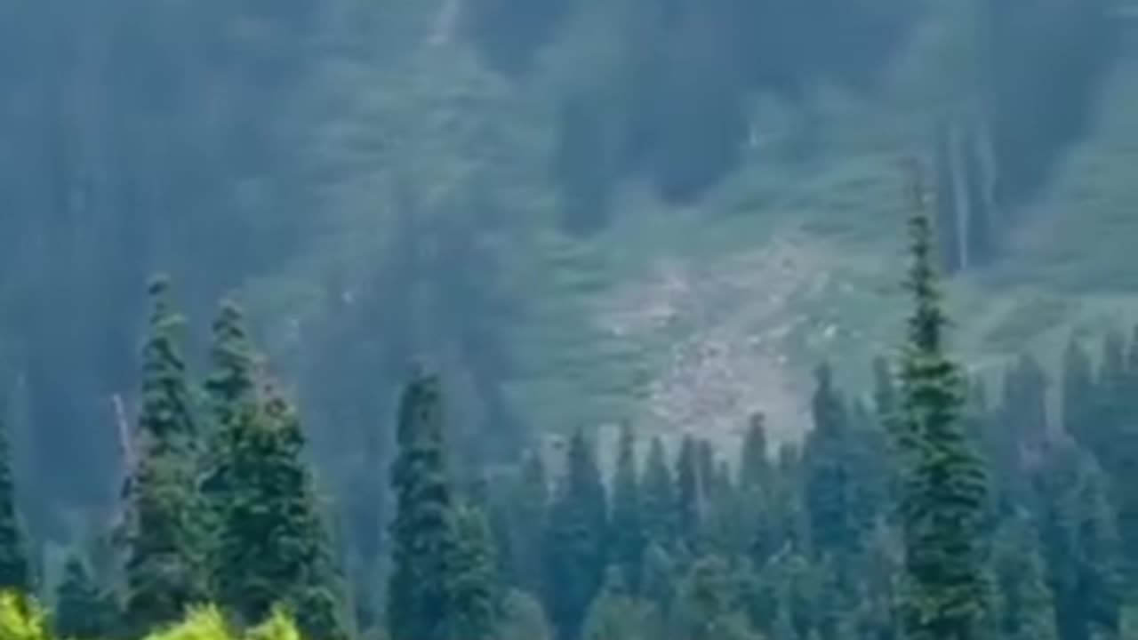 Beautiful Kashmir-Discover Pakistan