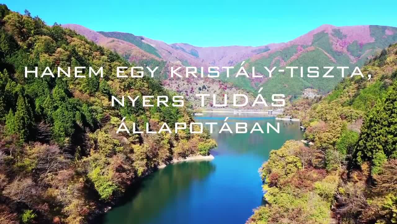 Adam Szottfried - Hamarosan választanunk kell