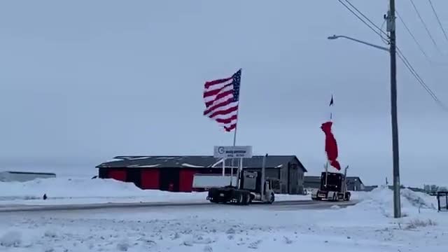 Canadian USA Freedom Convoy Trucker Alliance