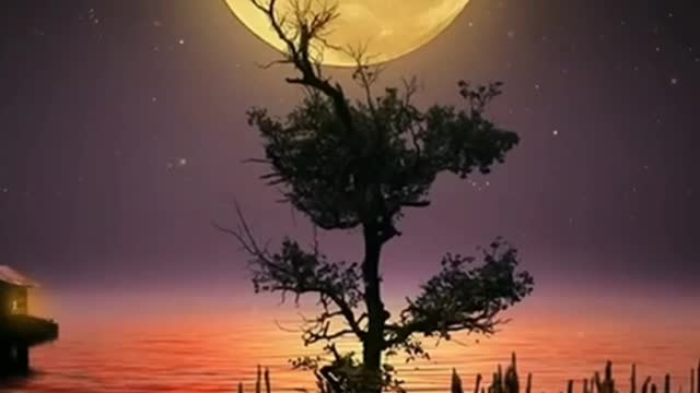 Relaxing Music Meditation Music Natural music Nature sounds
