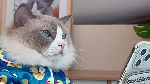 Puff • The Life Hacker 😎