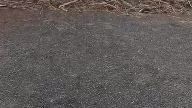 Teste de tiro Glock 9mm contra vidro blindado IIIA