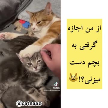 Sensitive mother not to touch the child