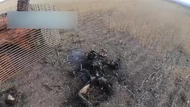 Destroyed Ukrainian armored personnel carriers in the Kherson region