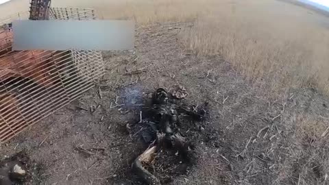 Destroyed Ukrainian armored personnel carriers in the Kherson region