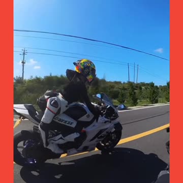 Biker Girl Replica Part 186