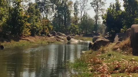 Netural river is beautiful