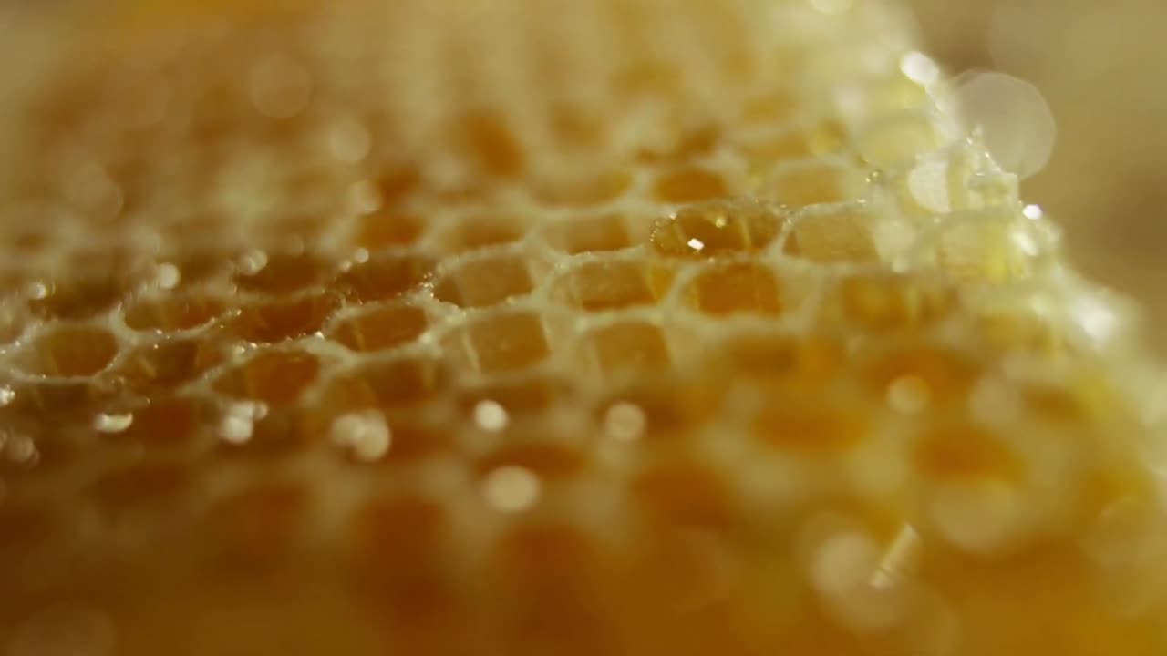 Six Surprising Health Benefits of Honey