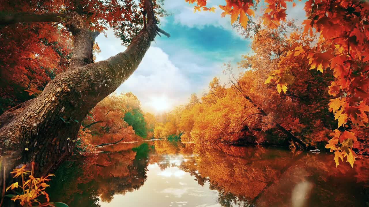 RELAX MUSIC - Instrumental Piano - Relaxing, Meditation, Calm & Therapy