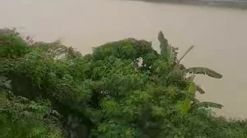 river view