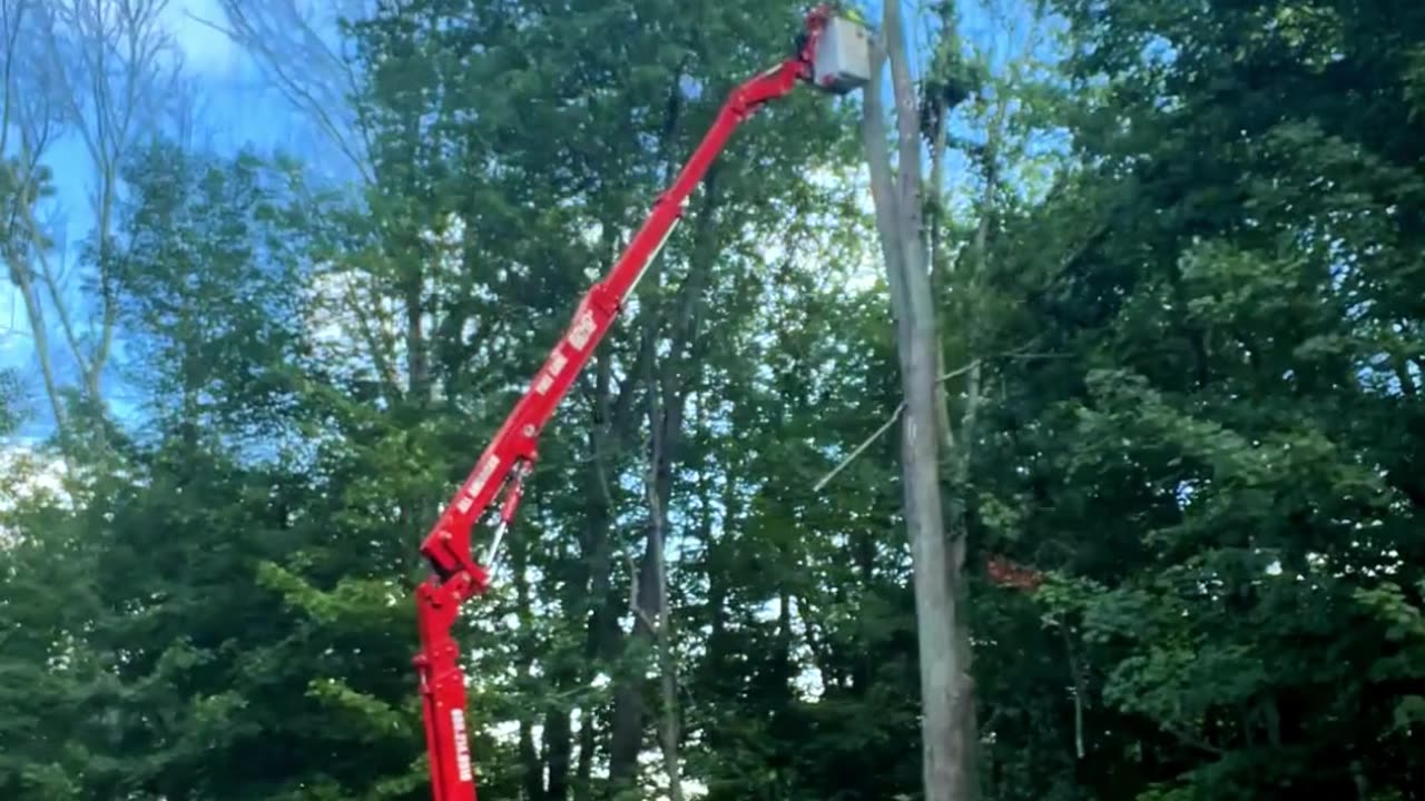 ALL AMERICAN TREE CARE - SPIDER LIFT REEL #2