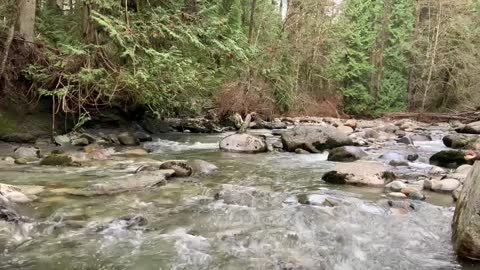 Kanaka Creek ~ Rushing Water