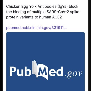 🥚Which came first?🐣🐓