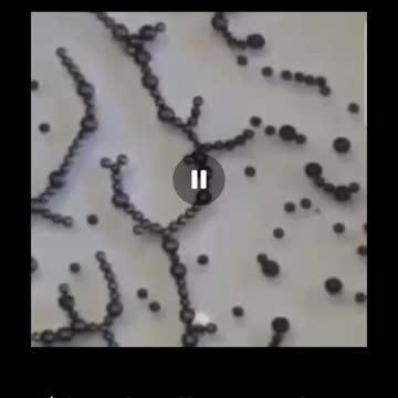 This is graphene oxide's reaction to 5G radio waves!!