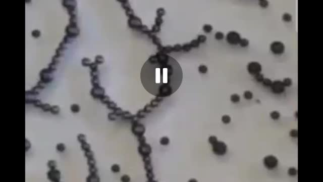 This is graphene oxide's reaction to 5G radio waves!!