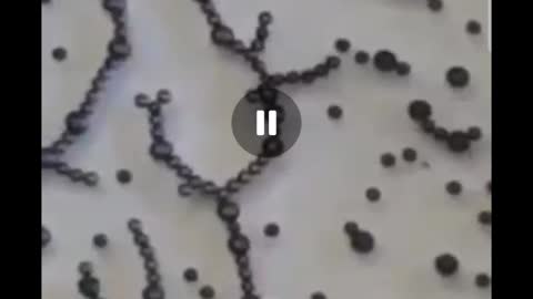 This is graphene oxide's reaction to 5G radio waves!!
