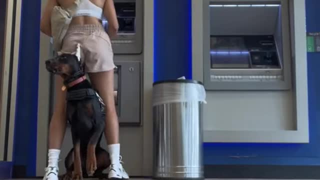 The owner draws money, the dog carefully protects