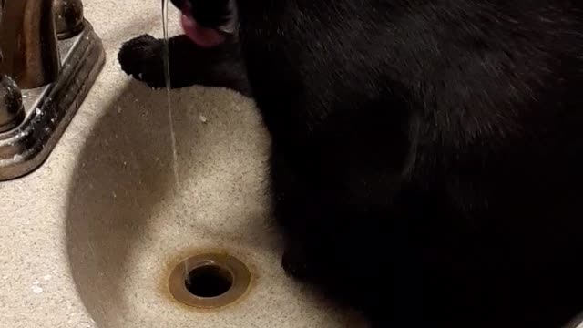 Malcom discovers the faucet