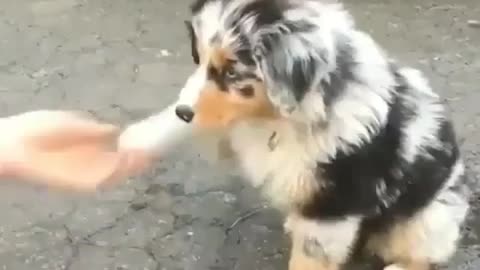 Hello Hello