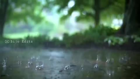 Rainy day__raining music__ relaxing